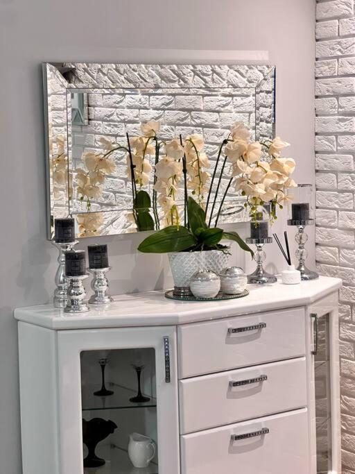 Apartament Zamojski Mlynska Zamość Dış mekan fotoğraf