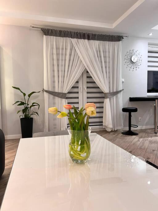 Apartament Zamojski Mlynska Zamość Dış mekan fotoğraf