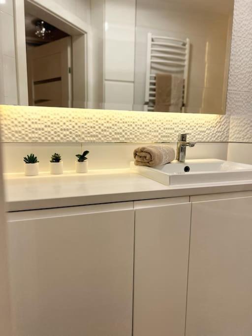 Apartament Zamojski Mlynska Zamość Dış mekan fotoğraf
