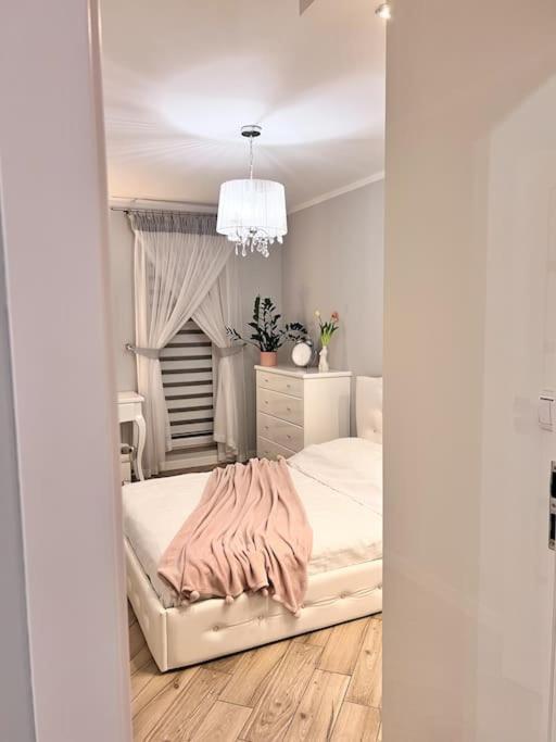 Apartament Zamojski Mlynska Zamość Dış mekan fotoğraf